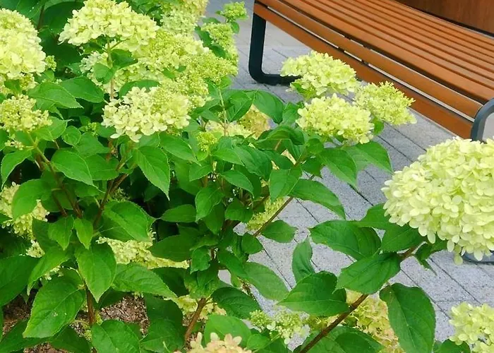 New Parking Free & Self Check In 24h Taras Miedziana 아파트 브로츠와프